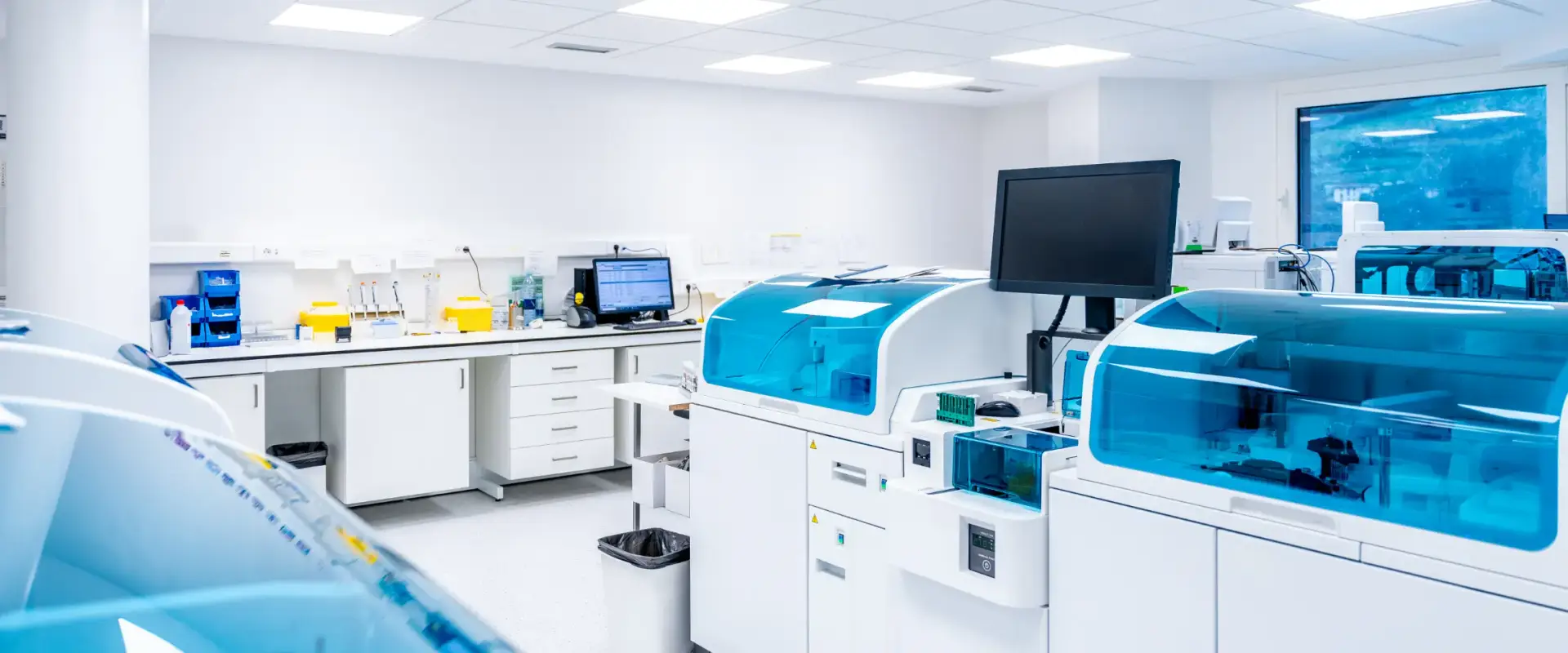 lab