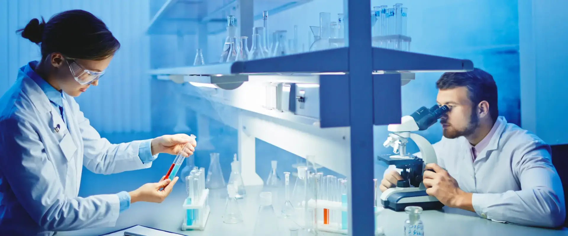 lab